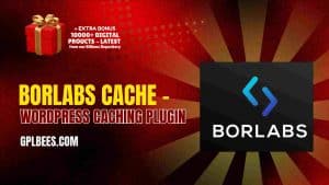 Borlabs Cache – WordPress Caching Plugin - Buy GPL 15 at Best Price