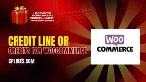 Credit Line or Credits for WooCommerce - Buy GPL 21 at Best Price
