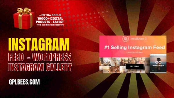 Instagram Feed  - Wordpress Instagram Gallery At Best Price - Gpl Bees
