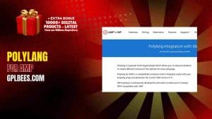 Polylang For AMP