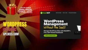 WordPress SEO Addon - Buy GPL 11 at Best Price