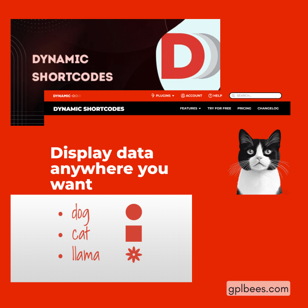Dynamic.ooo - Dynamic Shortcodes At Best Price - Gpl Bees