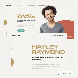 Hayley - Personal CV/Resume WordPress Theme - Buy GPL 26 at Best Price