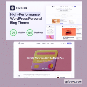 Revision - Optimized Personal Blog WordPress Theme - Buy GPL 38 at Best Price