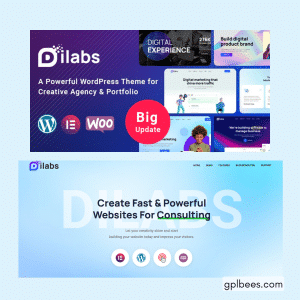 Dilabs - Creative Agency WordPress Theme - Buy GPL 17 at Best Price