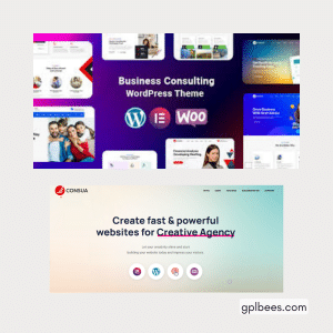 Consua - Business Consulting WordPress Theme - Buy GPL 17 at Best Price