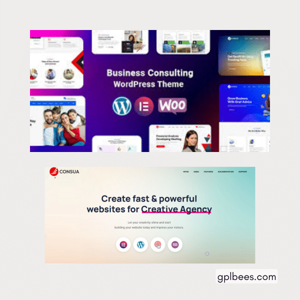 Consua - Business Consulting Wordpress Theme At Best Price - Gpl Bees