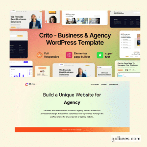 Crito - Business and Agency WordPress Theme - Buy GPL 18 at Best Price