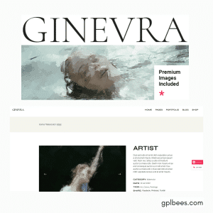 Ginevra - Artist Portfolio WordPress Theme - Buy GPL 35 at Best Price