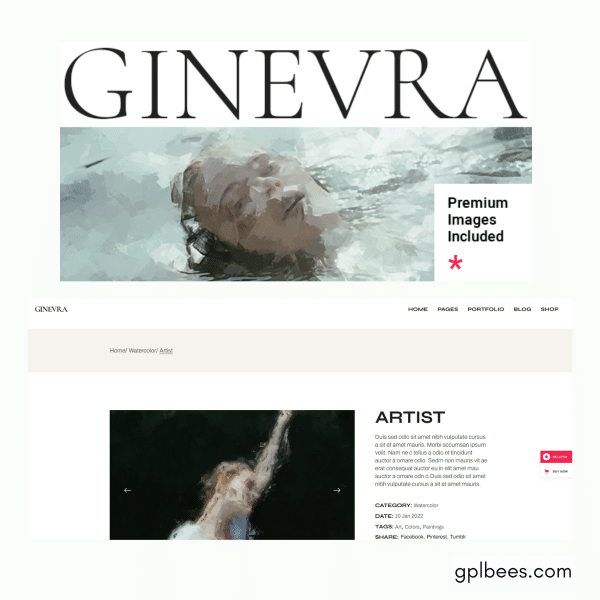 Ginevra - Artist Portfolio Wordpress Theme At Best Price - Gpl Bees