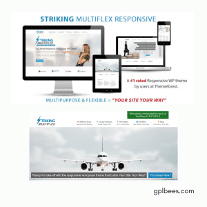 Striking - MultiFlex and Ecommerce Responsive WP Theme - Buy GPL 61 at Best Price