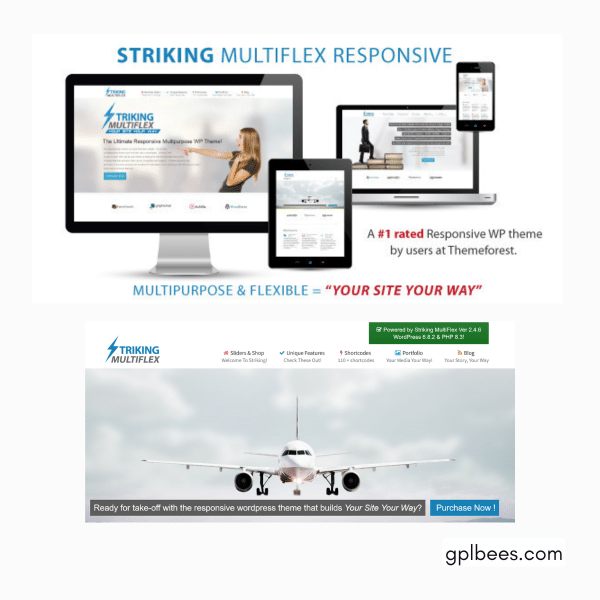 Striking - Multiflex And Ecommerce Responsive Wp Theme At Best Price - Gpl Bees